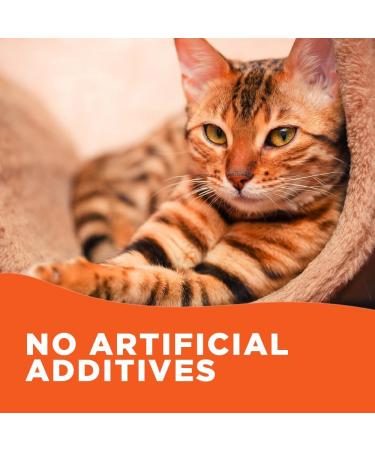 Pooch & Purr 500ml Salmon Oil for Dogs. Salmon Oil Cats Puppy Ferret & Pets. Pure Omega 3 6 9 Fish Oil for Dogs. Food Supplements for Itchy Skin Coat Joint Care. Dog Vitamins and Supplements - Buy Online on GoSupps.com