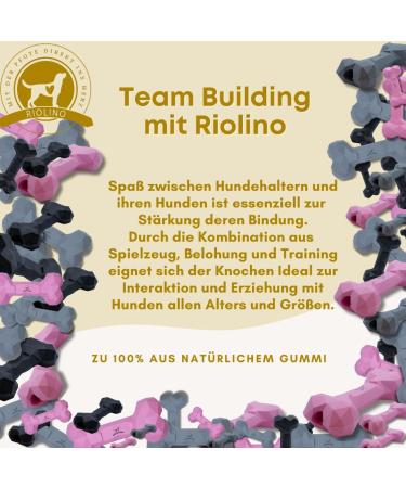 Buy Natural Rubber Dog Toys for Aggressive Chewers | Fillable & Durable | Dental Care - Black Size S (1 Pack) - Buy Online on GoSupps.com