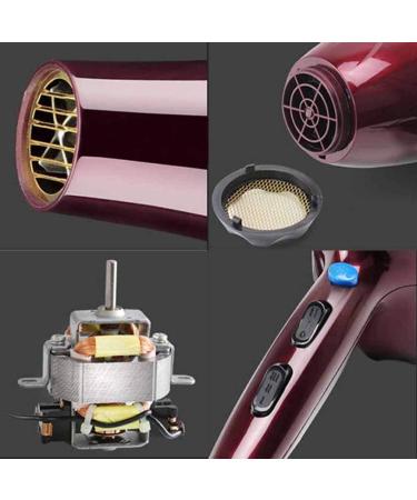 2200W Ionic Hair Dryer Professtional Hair Dryer Salon Hairdryer 2 Speed and 3 Heat with Cool Button Diffuser and Concentrator Overheat Protection Low Noise Lightweight for Home Use Travel - Buy Online on GoSupps.com