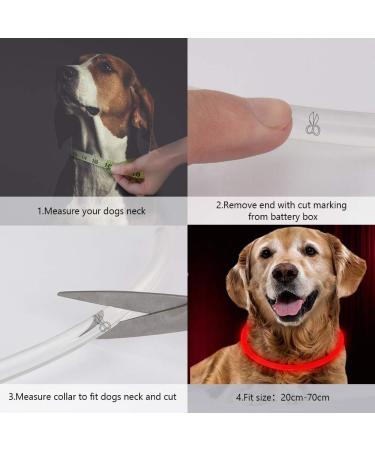 LED Dog Collar Glow Light Collar for Dogs Ultra Bright USB Rechargeable Cut to Fit Any Size - Rechargeable Battery - Increased Visibility & Safety For Your Pets(Blue) - Buy Online on GoSupps.com