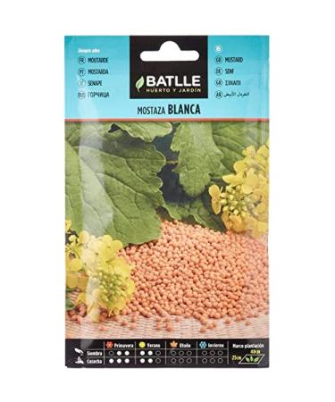 Semillas Batlle Batlle Aromatic Seeds - White Mustard Sinapis alba (10g)
