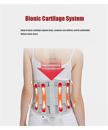 Self-Warming Back Band | Lumbar Pear Belt for Men & Women | Back Pain Relief Herniated Disc Support & Waist Smoothing - Buy Online on GoSupps.com