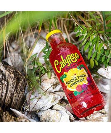 Calypso Lemonades 16oz Glass Bottles 6 Pack - Paradise Punch Flavor - Buy Online on GoSupps.com