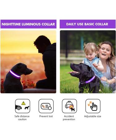 Masbrill Luminous LED Dog Collar - Waterproof Adjustable Safety Collar for Small & Medium Dogs - 3 Lighting Modes - Purple (48-60cm) - Buy Online on GoSupps.com