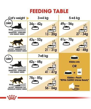 Royal Canin Cat Food Ragdoll 2kg - Buy Online on GoSupps.com