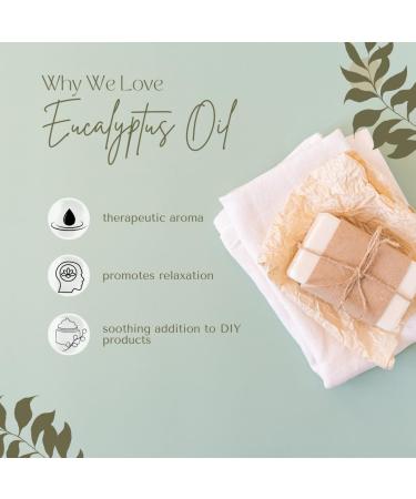 Eucalyptus Essential Oil (80/85) - 100% Pure Essential Oil 16 fl oz - Aluminum Bottle - Greenhealth - Buy Online on GoSupps.com