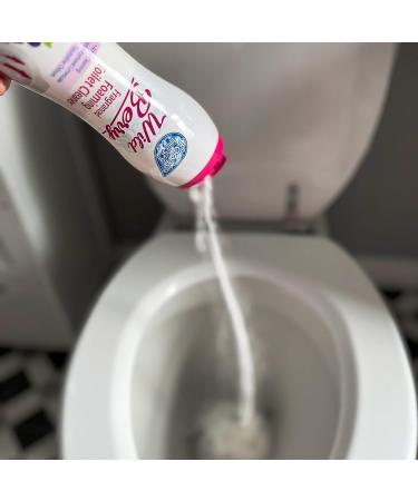 2 x 370G Wild Berry Foaming Toilet Cleaner Amazing Fragrance Deep Cleaning Action Powder Cleaning Foam and Extra Freshness Toilet Cleaner (Wild Berry) - Buy Online on GoSupps.com