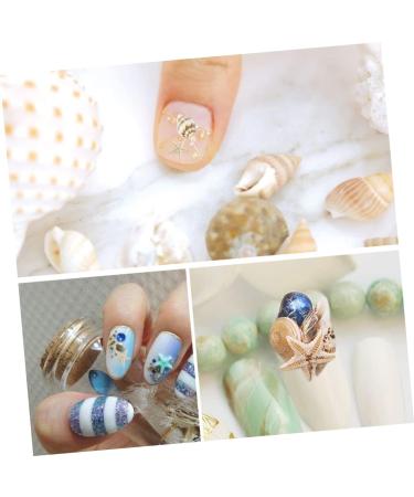 minkissy 1 Box Conch Jewelry Nail Art Decoration Nail Decorations for Nail Art Shell Decor Nail Jewelry Conch Shells Nail Decoration Nail Ornament Nail Stickers 3d False Nails - Buy Online on GoSupps.com