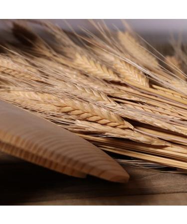 Organic Einkorn Wheat Berries 3lbs - Ancient Grain Superfood (1 Pack) - Buy Online on GoSupps.com