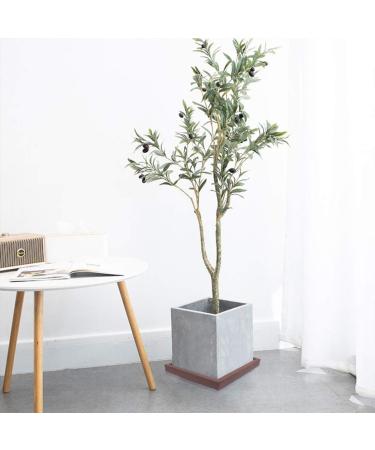 1Pcs 7.8 Inch Plastic Plant Saucer Tray Square Flower Pot Drip Tray for Planter Pot Plant Saucer Plant Container Accessories for Garden - Buy Online on GoSupps.com