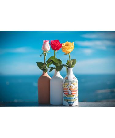  MURAGLIA ANTICO FRANTOIO Frantoio Muraglia Pop Art Ceramic Pot with 500ml Extra Virgin Olive Oil Intense Fruity Essence Handmade - Buy Online on GoSupps.com