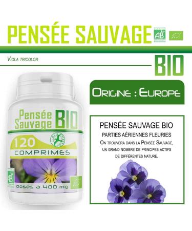 Organic Tablets - Wild Thought 120 - Buy Online on GoSupps.com