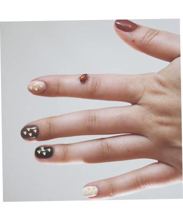 1 Glass Chip Resin Epoxy Rhinestones Epoxy Resin Glass Epoxy Fillers Diy Fillers Epoxy Filling Nail Art Fillers Diy Epoxy Fillers Diy Glass Fillers Accessories Manicure 0.5X0.3cm Golden - Buy Online on GoSupps.com