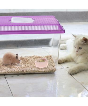 Balacoo Hamster Feeding Bowls- 3Pcs Pet Water Dispenser Ceramic Animal Dishes Food and Water Water Bowl for Mouse Dog (Random Color) - Buy Online on GoSupps.com