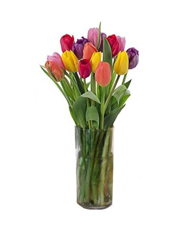 Stargazer Barn Happy Bouquet: Farm Fresh Colorful Tulips Delivered to Your Door - Buy Online on GoSupps.com