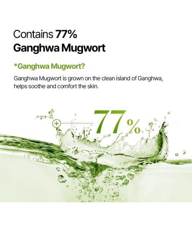NUARIN Ganghwa Mugwart Calming Toner 200ml / 6.76 fl.oz | 77% Ganghwa-Origin Mugwort Extract | LHA Exfoliating Toner for Pore & Sebum Care | Vegan | Korean Skincare - Buy Online on GoSupps.com