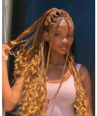 Pre Stretched Honey Blonde 26inch Professional Itch Free Hot Water Setting Synthetic Fiber Crochet Braiding Hair Extension for Twist Braids(27# 26" 8packs) 26 Inch 27#