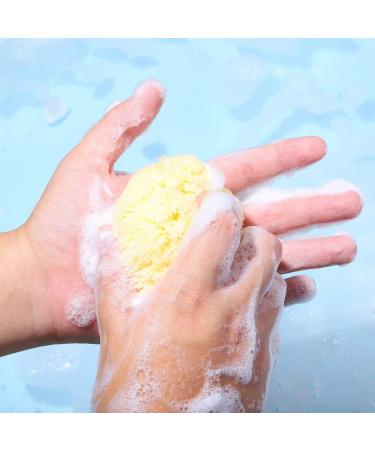 Premium Greek Honeycomb Natural Sea Sponge for Body Shower - Yellow 3.5 Inch Plus - Buy Online on GoSupps.com