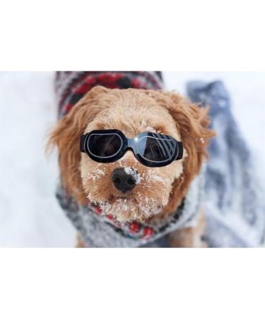 Stylish Dog Sunglasses for Small Dogs - UV Protection Snowproof & Windproof Glasses with Flexible Straps - Cool Black for Puppies & Cats - Buy Online on GoSupps.com