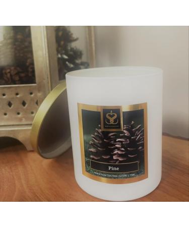 Buy Pine Scented Soy Wax Candle - 11 oz | Eco-Friendly & Long-Lasting | International Shipping Available - Buy Online on GoSupps.com