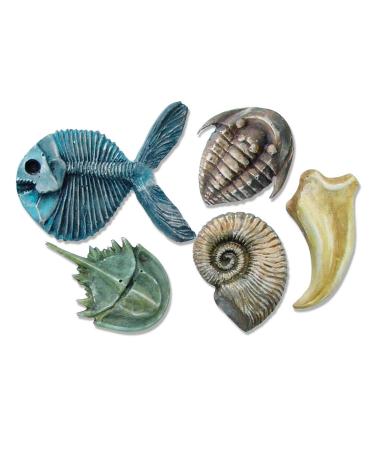 Molds Fossil: High-Quality and Durable Molds for Fossil Making - Buy Online on GoSupps.com