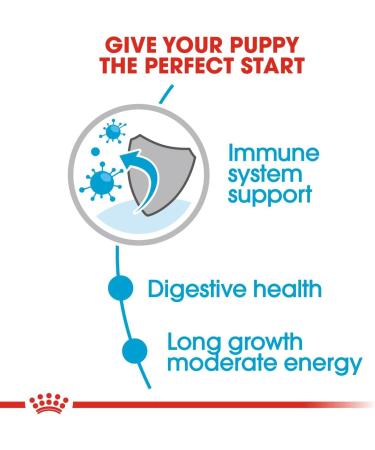 Royal Canin Maxi Puppy in Gravy Wet Food (10 x 140g Pouches) - Buy Online on GoSupps.com