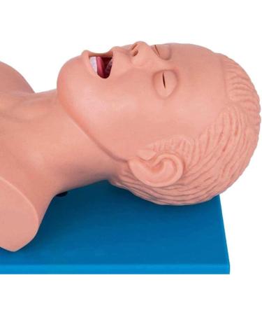 Intubation Manikin Study Teaching Model Airway Management Training Simulator Oral Nasal Intubation Manikin for Nursing Medical Training
