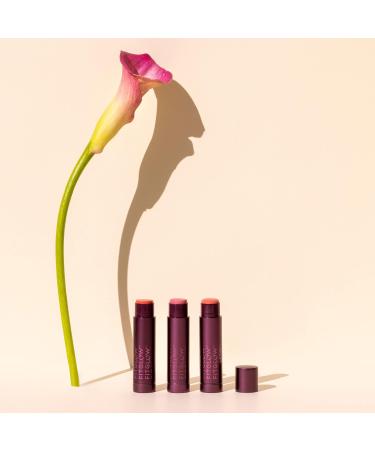 FITGLOW Cloud Collagen Lipstick Matte Balm - Vegan Clean Beauty | Woman-Owned (Calla 0.14 oz - Buy Online on GoSupps.com