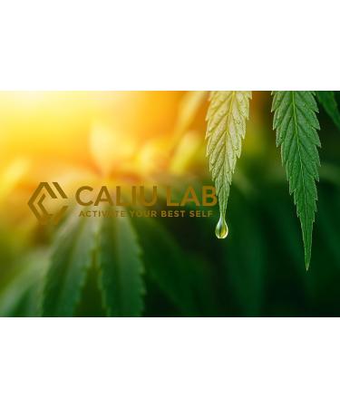 CALIU LAB SL CBD CBD oil 40 pure CBD oil 12000 mg CBD enriched hemp oil base mint extract 0 THC 1200 drops premium cannabidiol - Buy Online on GoSupps.com