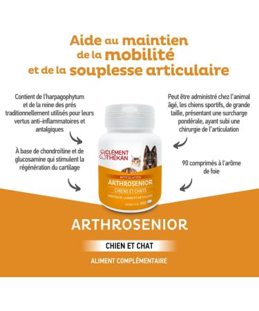 Cl ment Th kan Arthrosenior Large Format - Helps with joint mobility in dogs and cats - Stimulates cartilage regeneration - 90 flavored breakable tablets - Buy Online on GoSupps.com