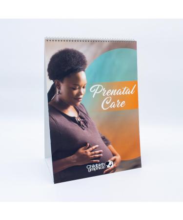 HEALTH EDCO Prenatal Care Flip Chart