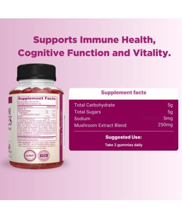 AMVILAB Mushroom Gummies Raspberry Flavored 60 Gummies 1 Month Supply - Buy Online on GoSupps.com
