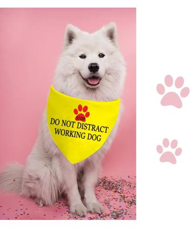 Stop Dot Not Pet Dog Bandana - No Touch No Talk No Distract - International Shipping - Buy Online on GoSupps.com