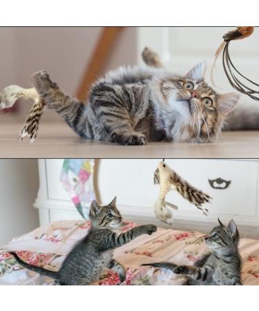 ZDQC Magic Cat Toy - Interactive Bells & Feathers Suction Cup Wand for Engaging Play - Buy Online on GoSupps.com