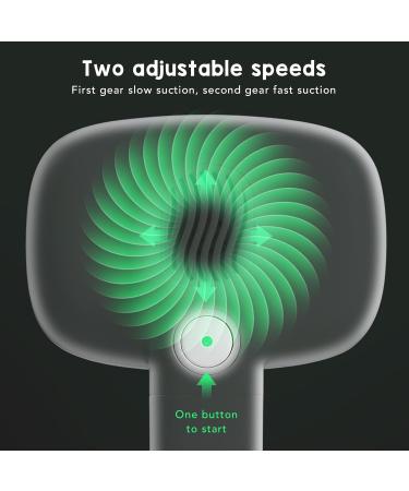 Pet Hair Dryer 2 in 1 Pet Grooming Dryer Low Noise Adjustable Stainless Steel Barrettes Lightweight with Cat Brush for Home (White) - Buy Online on GoSupps.com