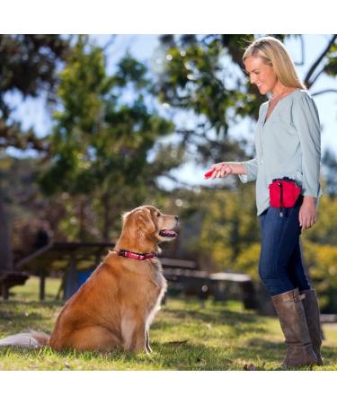 COMPANY OF ANIMALS Treat Bag Red Zipped Pockets & Drawstring Clips on Belt Waistband or Pocket Waterproof Treats Pouch Ideal for Dog Walking & Puppy Training Available in Purple Red & Black Red 1 Count (Pack of 1) - Buy Online on GoSupps.com