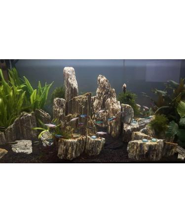Wyskont Slate Stones - Natural Aquarium & Terrarium Decoration - 1kg Wooden Look Stones & Cave - Premium Aquascaping Accessories - Buy Online on GoSupps.com
