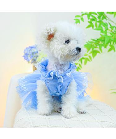 BT Bear Smally Disching Puppy Skirt & Tutu Dress for Small Dogs & Cats - Princess Bow Wedding Outfit (Size L Blue) - Buy Online on GoSupps.com