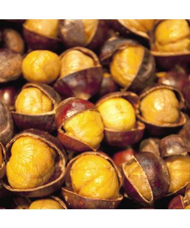 Wang Organic Roasted Chestnuts 2.11oz (Pack of 5) - Shelled & Easy to Eat - Buy Online on GoSupps.com