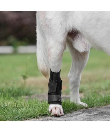 DONGKER Dog Leg Brace Adjustable Rear Leg Joint Compression Wrap with Metal Spring Bars for Dogs Sprain Pain Relief - Buy Online on GoSupps.com