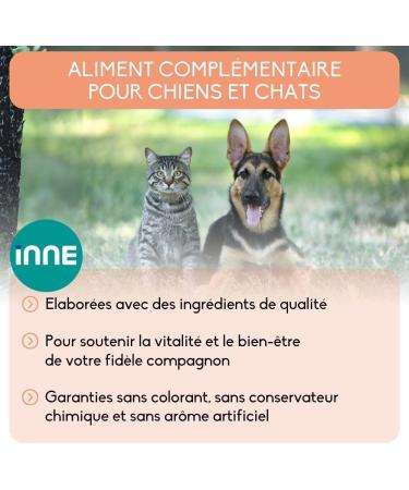 NUTRIVET INNE Salmon Oil for Dogs & Cats - Rich in Omega 3 & 6 - 250 ML Pump Bottle - Premium Supplementary Feed - Buy Online on GoSupps.com