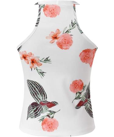 Womens 2 Piece Casual Matching Outfits Suits Trouser Suits Sleeveless Blazers Jacket Wide Leg Trouser Pants Suits Set 1014-sasnx-green#4 XL - Buy Online on GoSupps.com