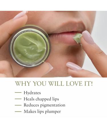Organic Lip Mask - Vegan Moisturizing Treatment for Dry Pigmented & Chapped Lips | 15 gm Cardamom | Ideal for Men & Women | International Shipping Available - Buy Online on GoSupps.com