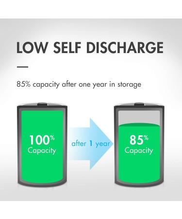 Tenergy Centura 1.2V NiMH D Batteries - 8000mAh Low Self Discharge Rechargeable D Cells Pre-Charged UL Certified 2 Pack - International Shipping Available - Buy Online on GoSupps.com