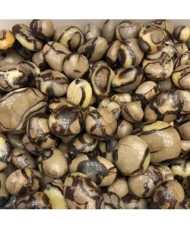 Natural Crystal Rough Specimen Natural ReikiSeptarium Quartz Crystal Stone Septarian Palm Size for Home DecorationStone Stone Mineral Specimen (Color : Light Grey Size : 5pc) 5pc Light Grey - Buy Online on GoSupps.com