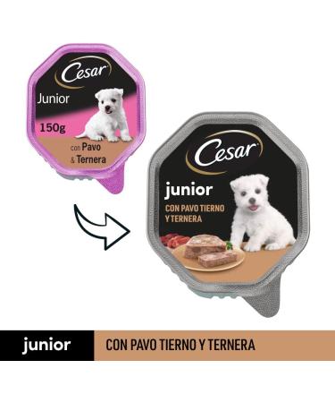 Cesar Junior Puppy Dog Food with Tender Turkey and Veal 150 g - 14 tubs - Buy Online on GoSupps.com