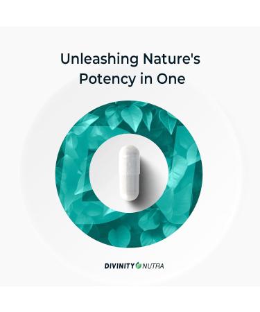 4-in-1 Prebiotic Probiotic & Postbiotic for Women & Men Complete Gut & Digestive Support Supplement Pre Post Probiotics & Digestive Enzymes 60 Capsules Made in USA - Buy Online on GoSupps.com