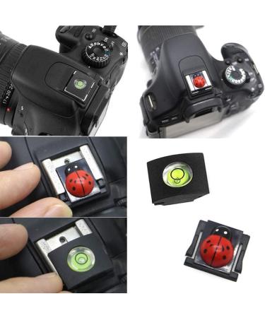 Canon EOS R5 Screen Protector (2+2Pack) + Hot Shoe Cap Cover Set - 0.3mm Tempered Glass, 9H Hardness - Buy Online on GoSupps.com