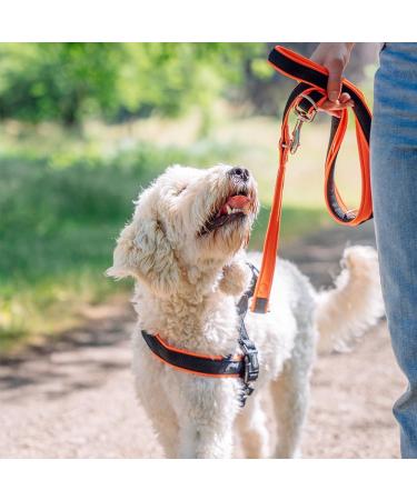 Nobby Norwegian Harness Mesh Preno - Neon Orange L-XL (68-85 cm + 54 cm 40/45 mm) - International Shipping - Buy Online on GoSupps.com