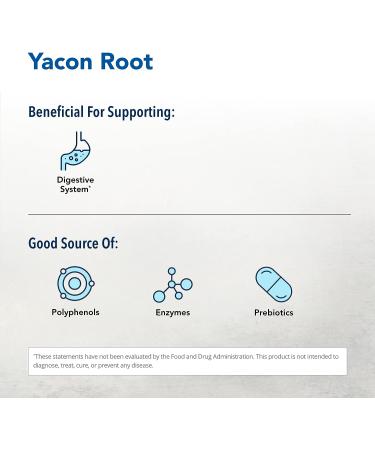 Organic YacoPower Yacon Syrup 8.5 fl oz - Supports Metabolism & Digestion -Non-GMO - Zero Glycemic Index - Natural Sweetener - Buy Online on GoSupps.com